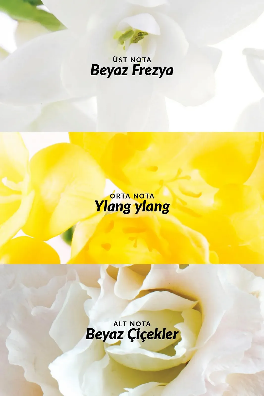 Лосьйон для тіла Avon Pur Blanca 150 мл, фото №4 Лосьйон для тіла Avon Pur Blanca 150 мл, фото №4