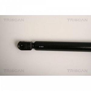 Газовая пружина багажника TRISCAN 8710 17211 для LAND ROVER synthetic.ua - Фото 1