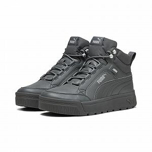 Кроссовки PUMA Tarrenz Sb III Puretex мужские - Фото 1