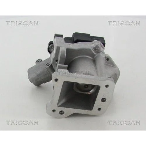 Клапан EGR TRISCAN 8813 10007 для CITROËN FORD PEUGEOT LAND ROVER, фото №4