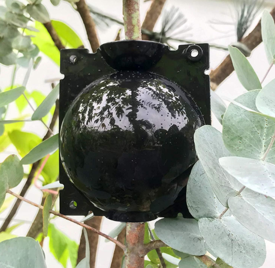 Куля для укорінення рослин, куля кейс для укорінення , клонування рослин, дерев, інкубатор садовий, діаметр 4 см, фото №1