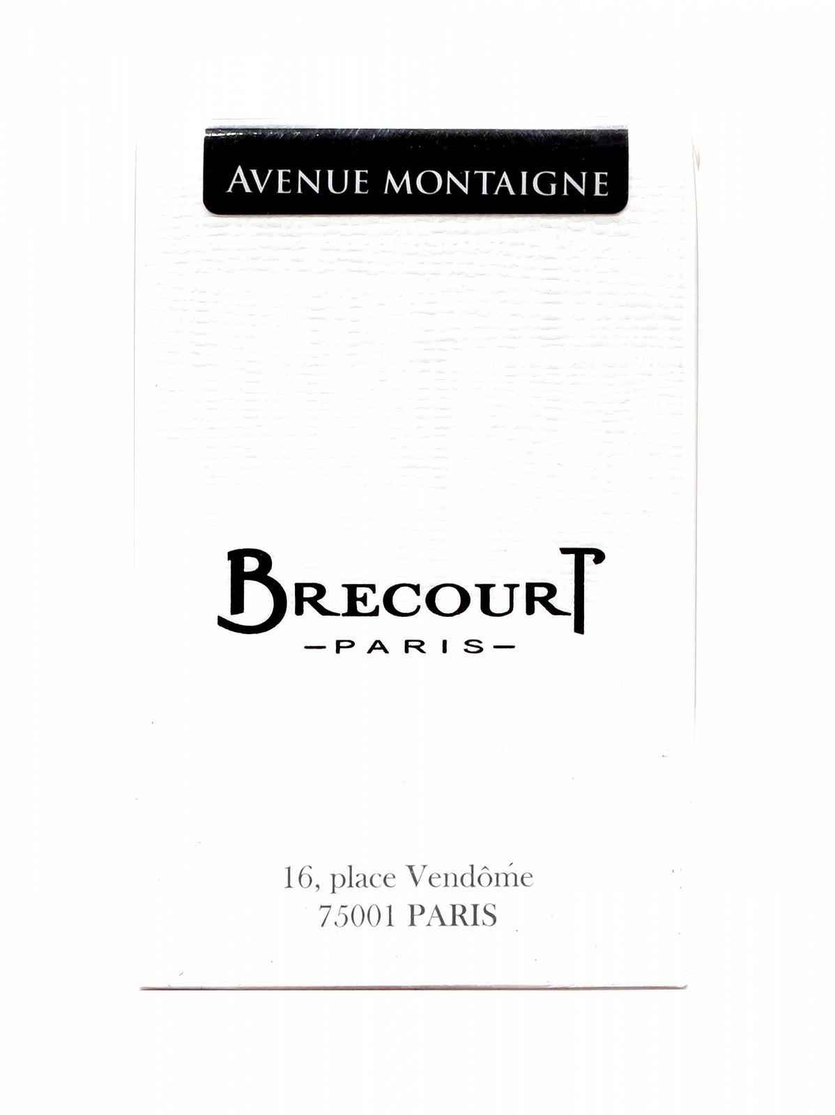 Парфумована вода Brecourt Avenue Montaigne 50 мл, фото №2