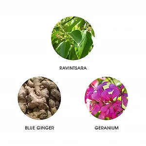 Парфумована вода FiiLiT Parfum du Voyage, Madagascar, поповнення 11мл ціна на synthetic.ua - Фото 1 Парфумована вода FiiLiT Parfum du Voyage, Madagascar, поповнення 11мл synthetic.ua - Фото 1