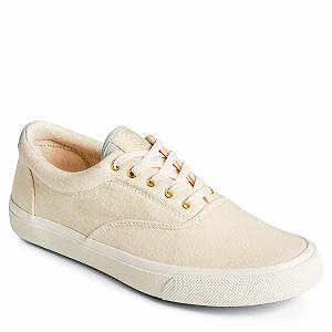 Кросівки Sperry Striper Ii CVO synthetic.ua - Фото 1