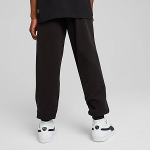 Штаны Puma ESS No. 1 Logo Sweatpants TR 68491401 Черный XL synthetic.ua - Фото 1