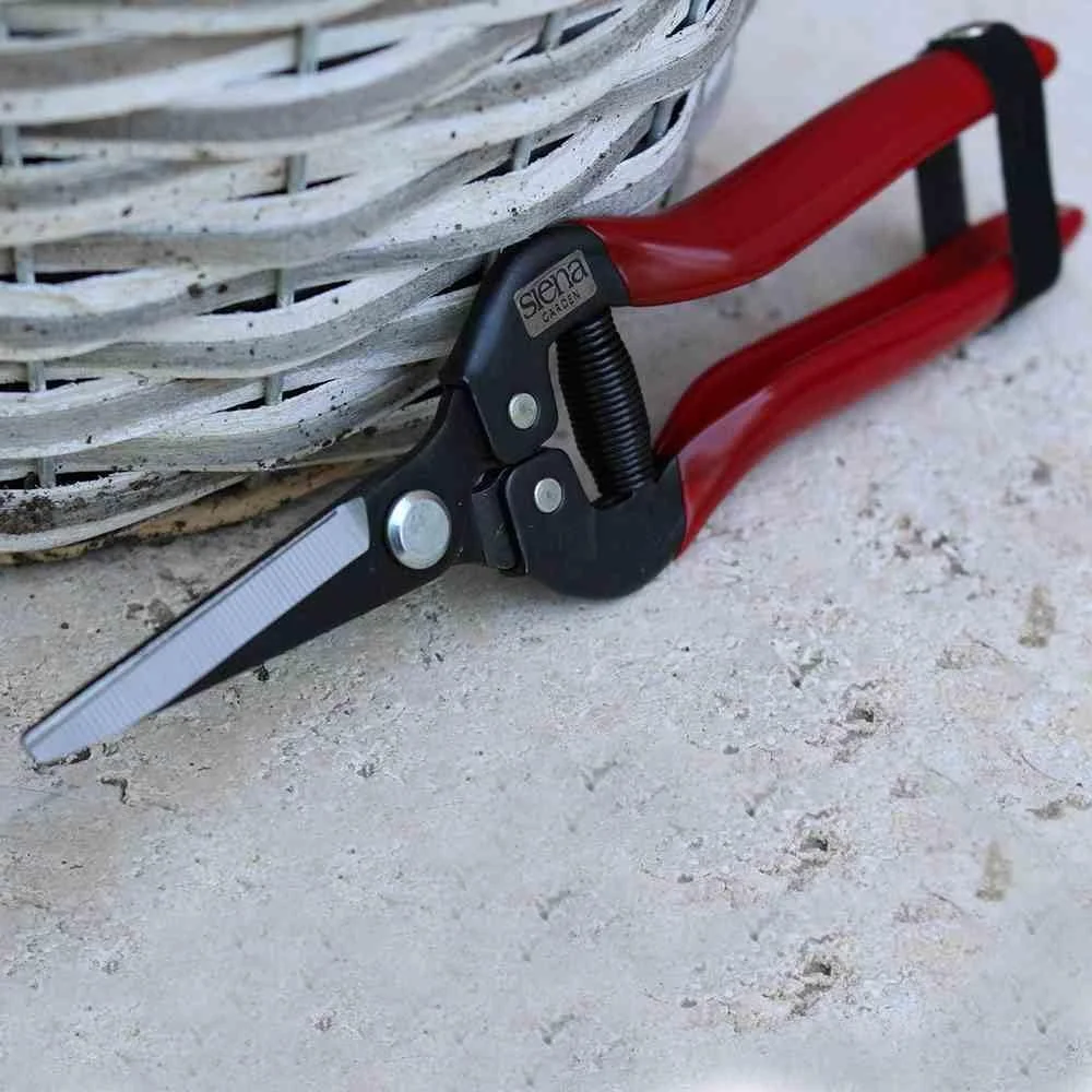 Ножиці Premium 19 см, фото №5