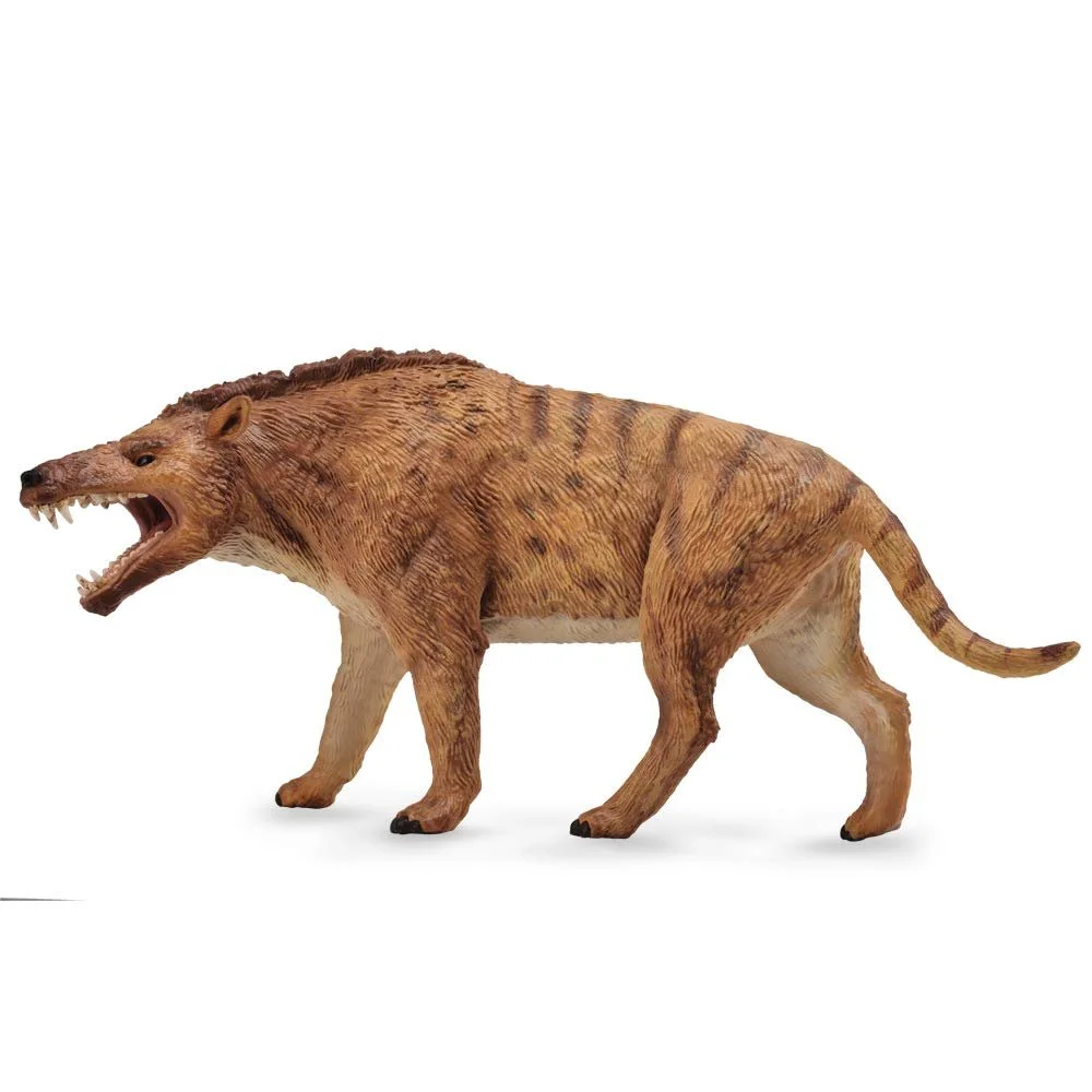 Фигурка CollectA Deluxe Andrewsarchus 88772 1:20, фото №1