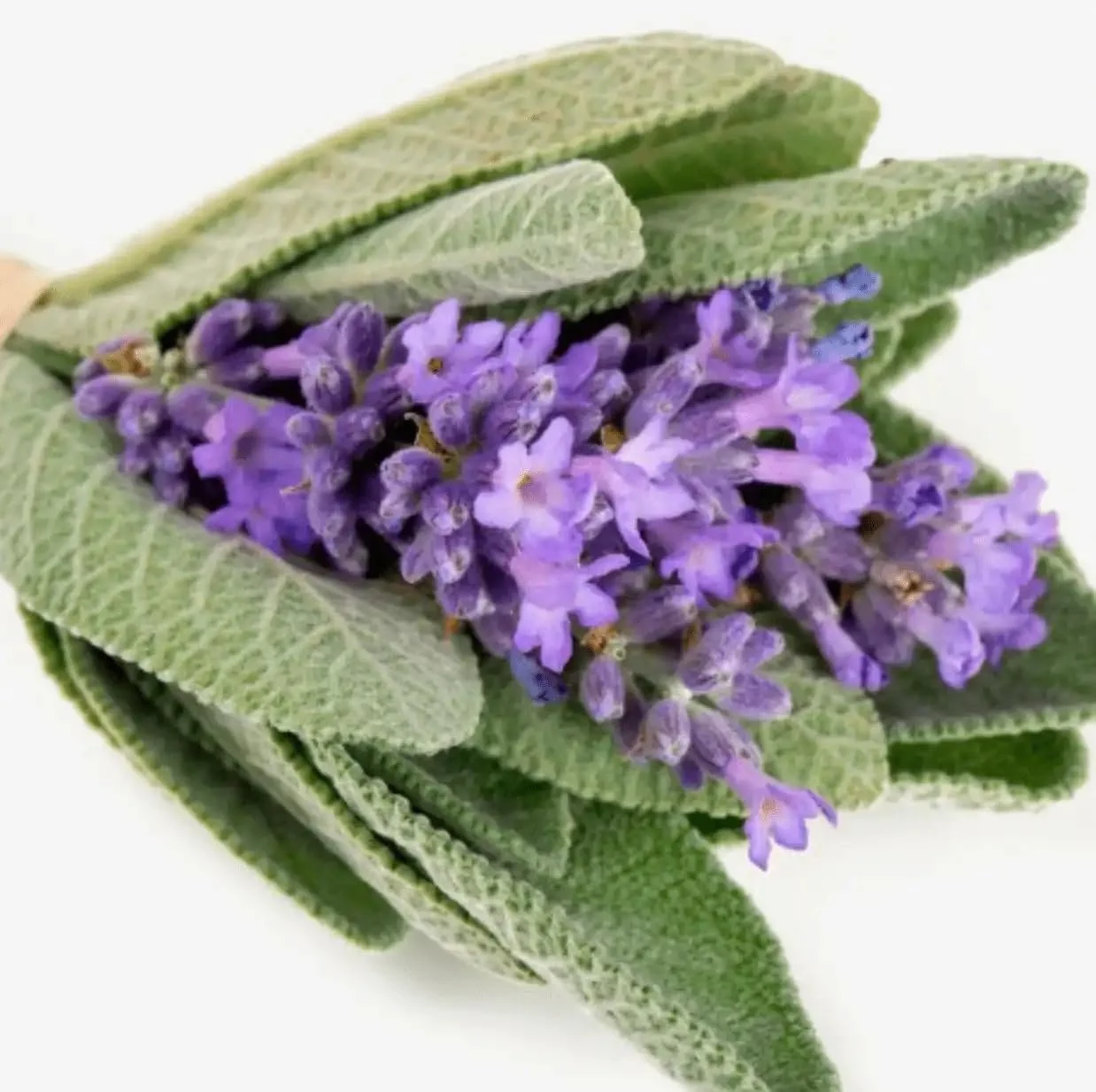 Парфумована вода Yodeyma Resolu 50 мл, фото №5