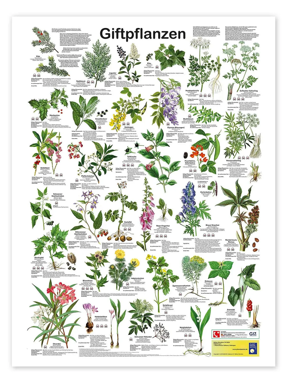 Постер Planet Poster Editions Poison Plants 50 x 70 см Зеленый, фото №1