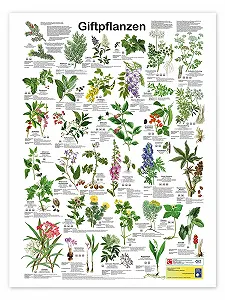 Постер Planet Poster Editions Poison Plants 50 x 70 см Зеленый - Фото 1