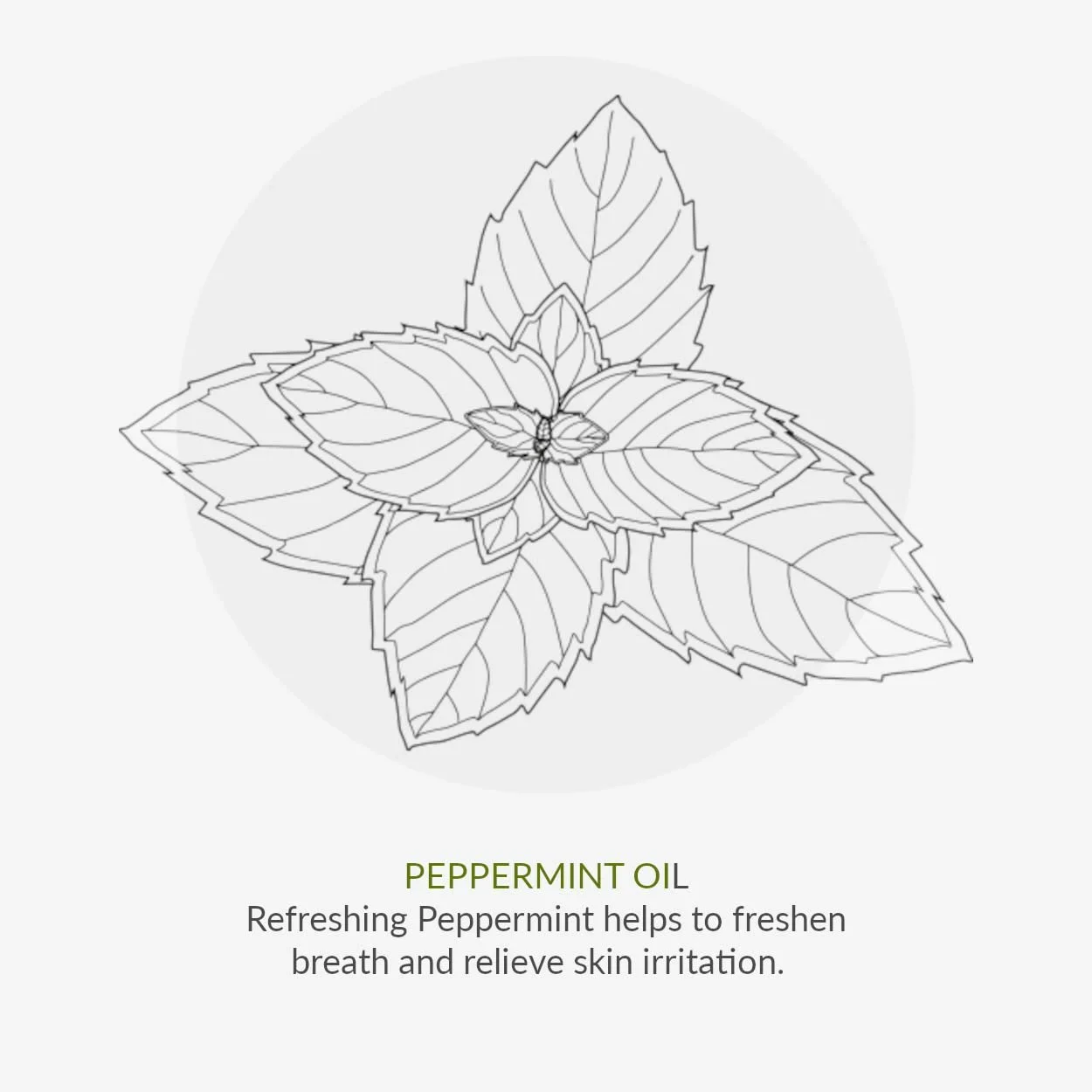 Дезодорирующий крем для ног Green People Prebiotic с пребиотиками и мятой 50 мл, фото №10