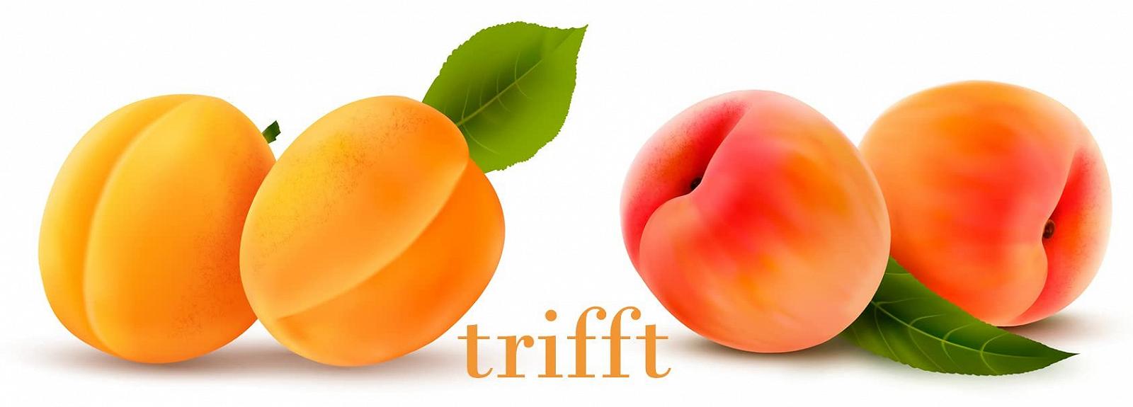 Гель для душу KaiserRein Apricot Peach 10 л, фото №2