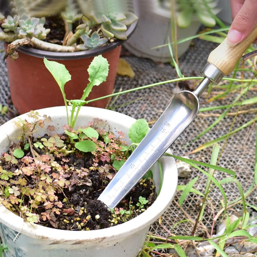 Лопата совковая посадочний Вузький, 1 шт, Нержавіюча сталь, з дерев'яною ручкою, для пересадки, прополки, садівництва, посадки, копання та різання. Розміри: 370 мм, фото №9