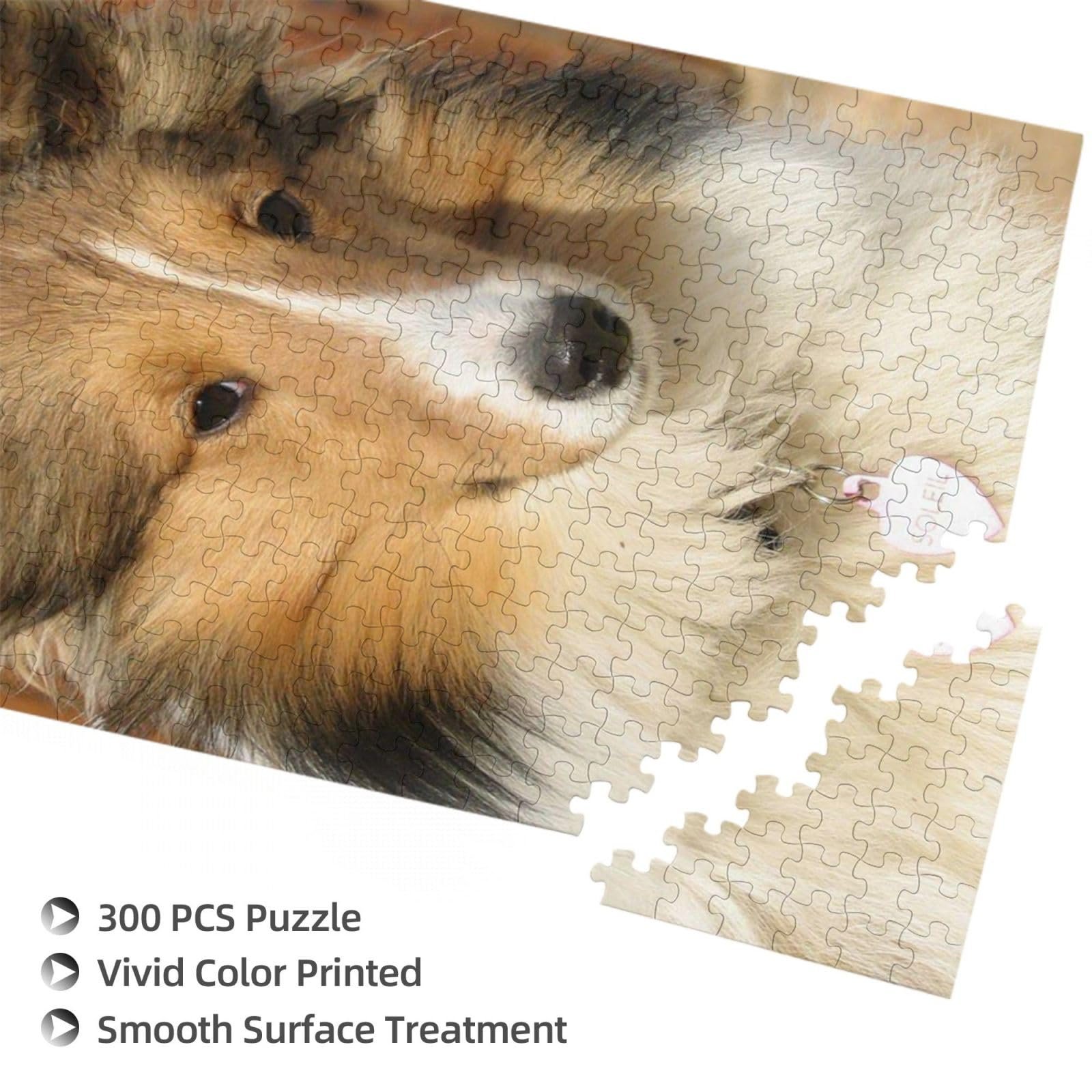 Пазл дерев'яний Beautiful Sheltie Dog, 300 елементів, фото №4 Пазл дерев'яний Beautiful Sheltie Dog, 300 елементів, фото №4