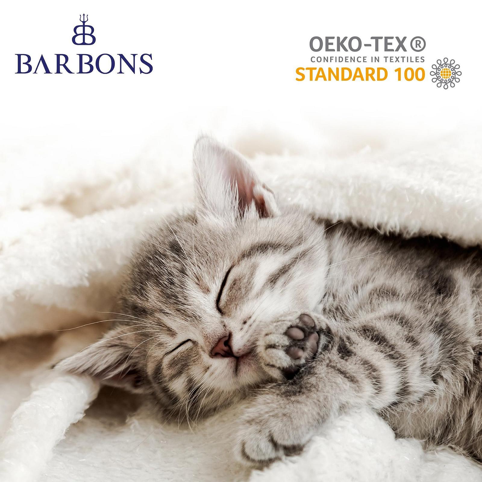 Одеяло BARBONS мягкое флисовое одеяло, как покрывало или одеяло, одеяло для дома или накидка на диван, пушистое одеяло, уличное одеяло, фото №3