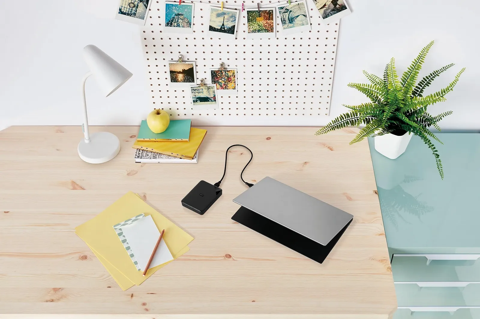 Зовнішній жорсткий диск Western Digital Elements SE 5000GB Чорний, фото №6