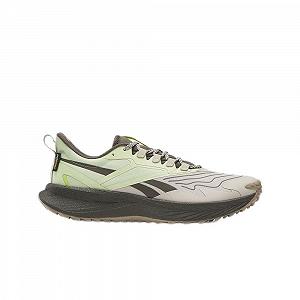 Кросівки Reebok Floatride Energy 5 Adventure, чоловічі - Фото 1