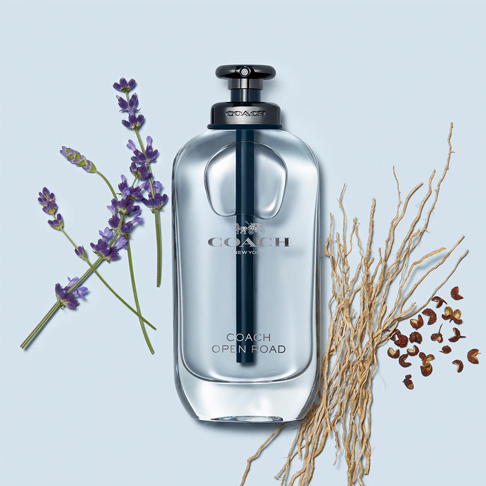 Eau de Toilette Coach Open Road для чоловіків 100 мл, фото №3