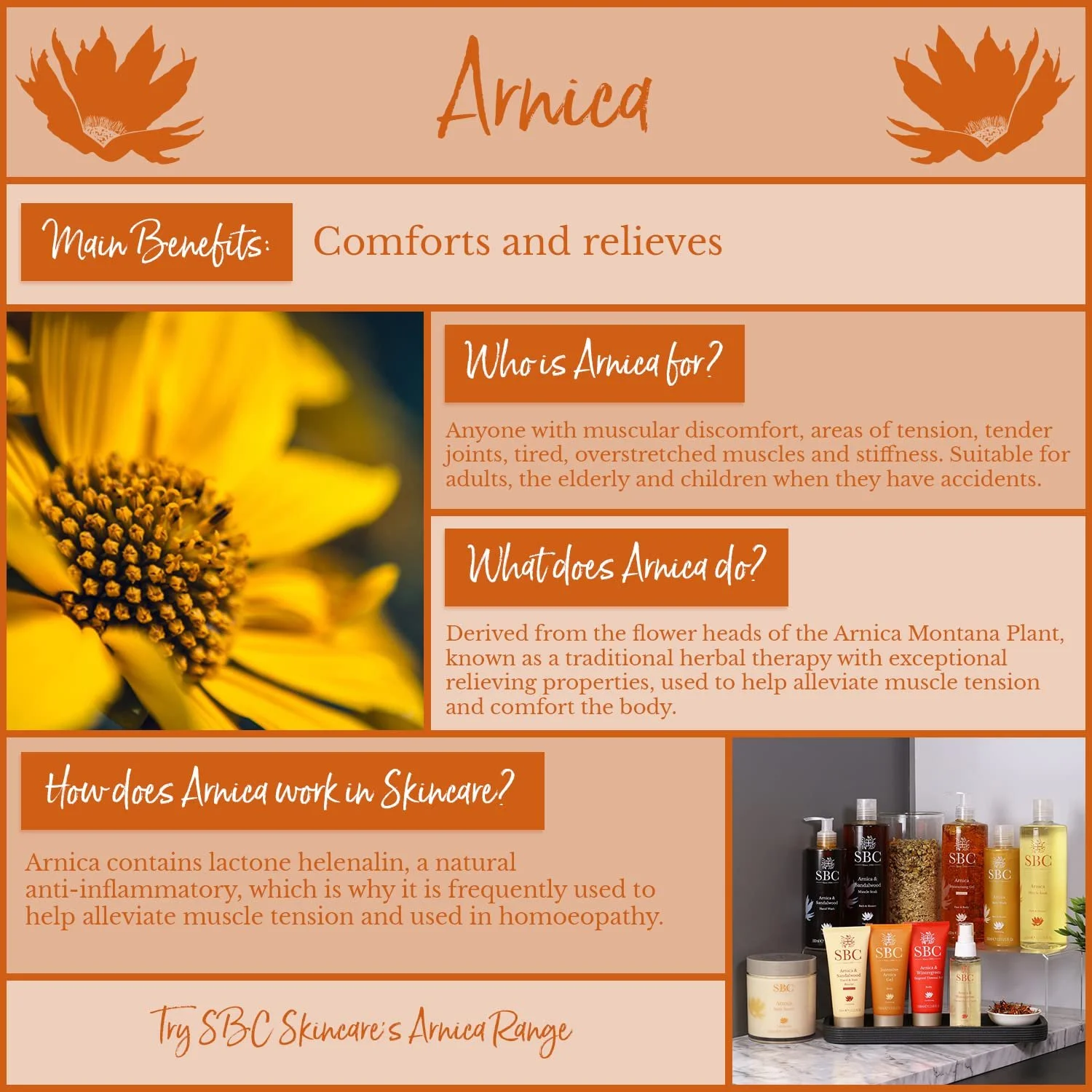 Крем для рук и ног SBC Skincare Arnica & Sandalwood Hand and Foot Rescue 100 мл, фото №8