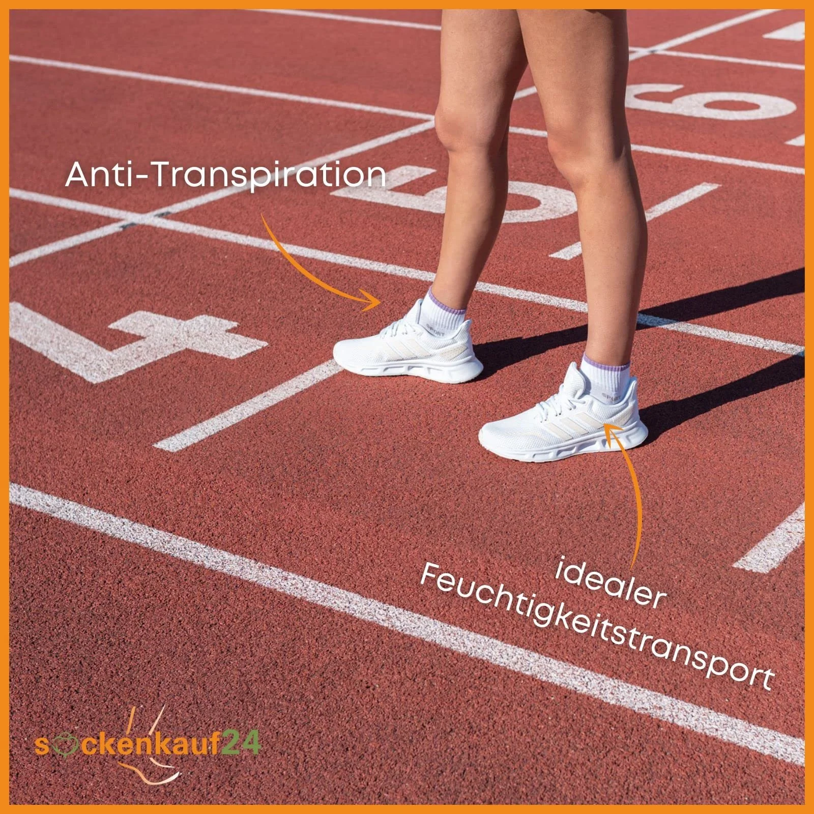 Женские спортивные носки Trainer (6 или 12 пар) Усиленная махровая подошва Хлопок, фото №5