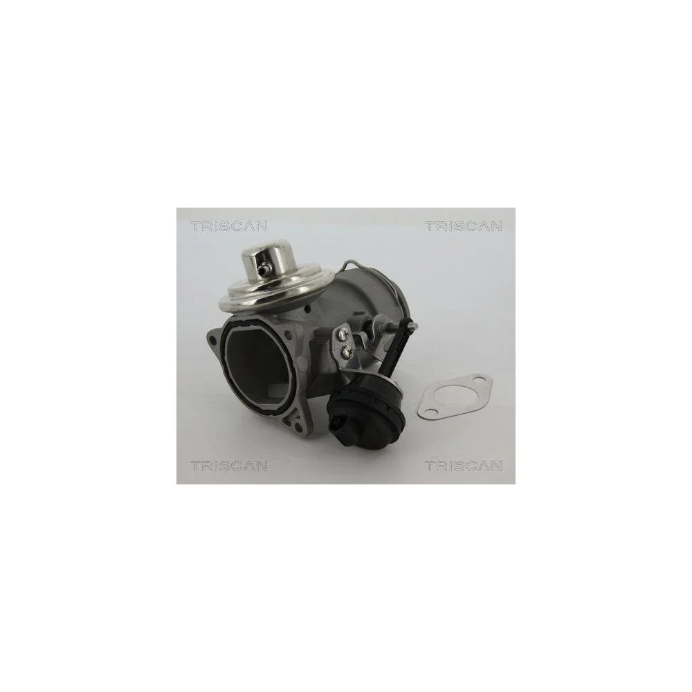 Клапан EGR TRISCAN 8813 29040 для AUDI SEAT SKODA VW, фото №1
