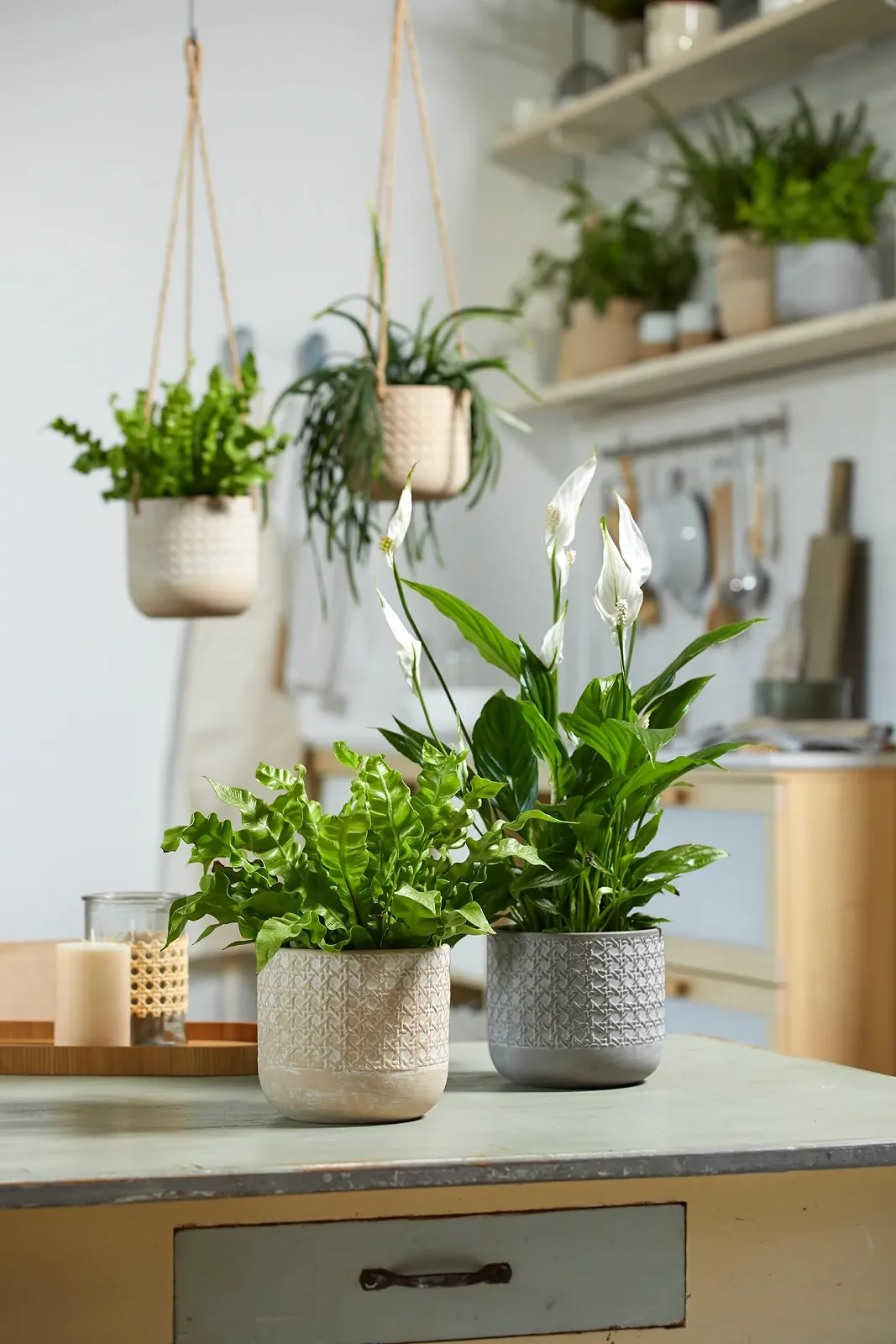 Підвісний кошик Soendgen Vienna Кераміка 15 см 14 см 3.15 л Натуральний бежевий, фото №2