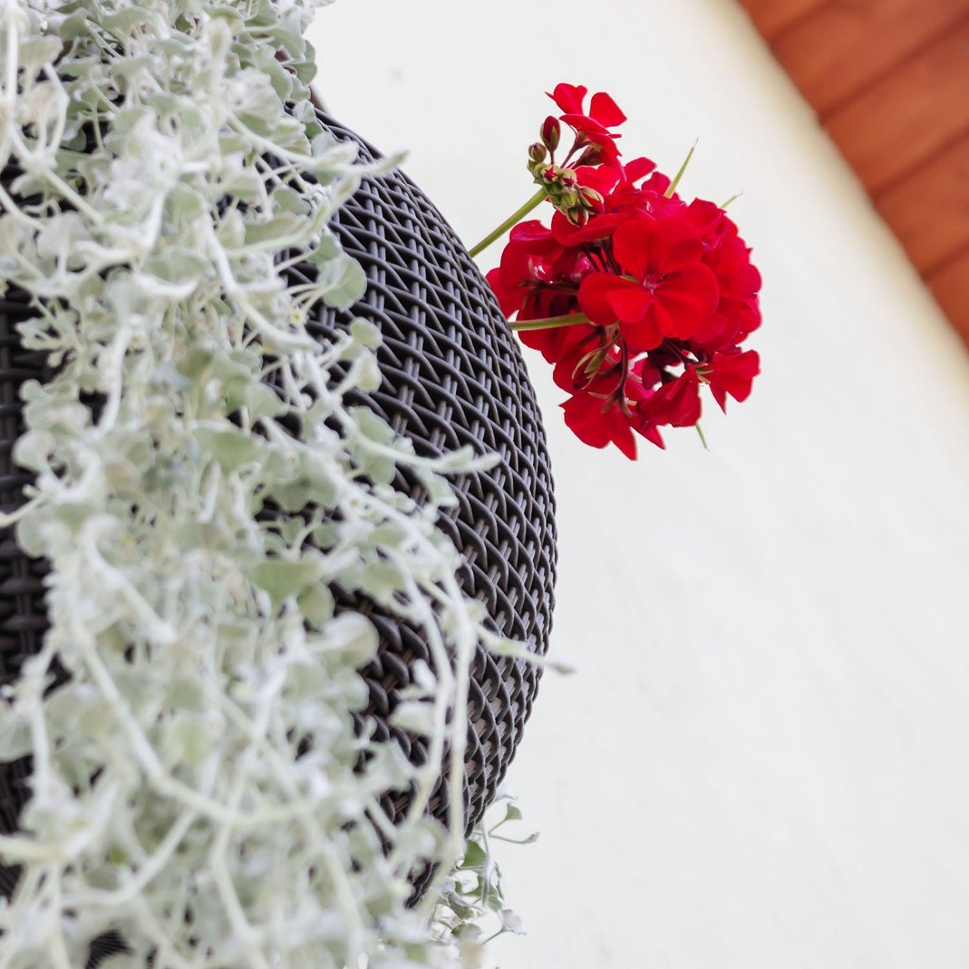 Підвісний горщик Hanging Sphere, фото №6