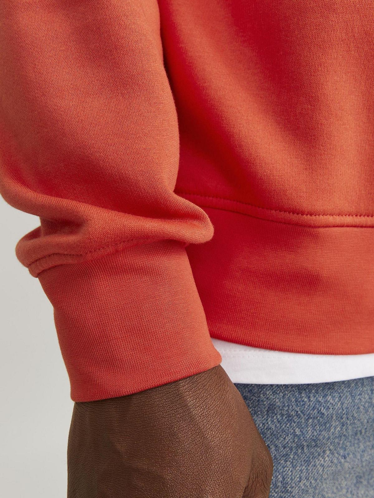 Світшот JACK & JONES Jorvesterbro Crew Neck Noos, фото №7