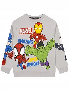 Толстовка Marvel Spidey and His Amazing Friends Сірий для хлопчиків - Фото 1