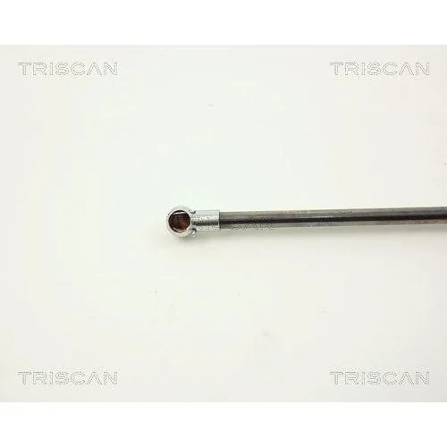 Газовая пружина багажника TRISCAN 8710 10203 для OPEL SUZUKI, фото №3 Газовая пружина багажника TRISCAN 8710 10203 для OPEL SUZUKI, фото №3
