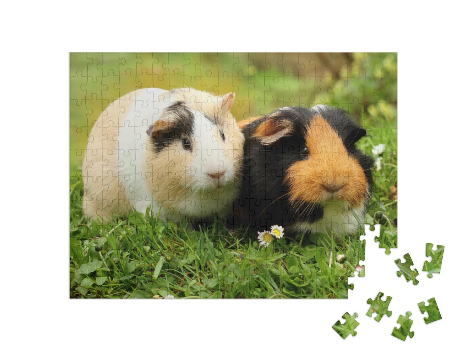 Пазл puzzleYOU Guinea Pigs "Две милые морские свинки" 200 элементов, фото №2