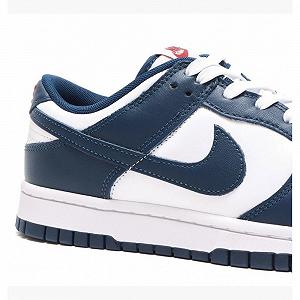 Кроссовки Nike Dunk Low Retro Valerian Blue Blue размер 42 synthetic.ua - Фото 1