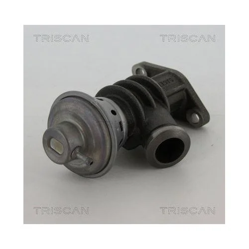 Клапан EGR TRISCAN 8813 28100 для CITROËN PEUGEOT, фото №2