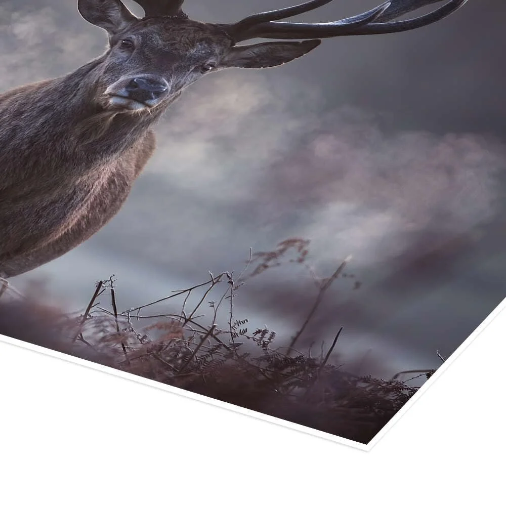 Постер Alex Saberi A Majestic Red Deer Breathing in the Winter Air 90 x 70 см Серый, фото №3 Постер Alex Saberi A Majestic Red Deer Breathing in the Winter Air 90 x 70 см Серый, фото №3