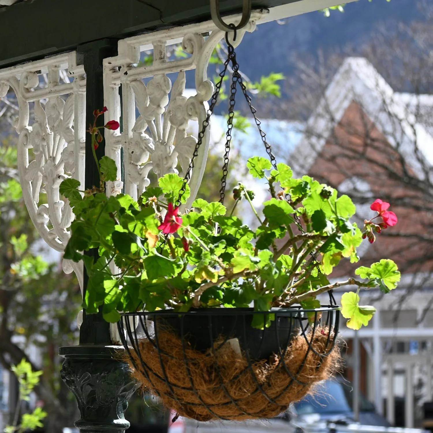 Ланцюжки для підвісних кошиків, 4 шт., 25 см, чорні, фото №6 Ланцюжки для підвісних кошиків, 4 шт., 25 см, чорні, фото №6