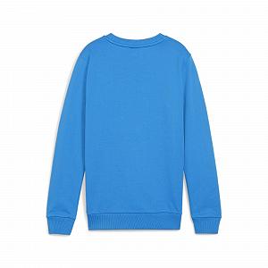 Джемпер PUMA Teamgoal Casuals для мальчиков, с круглым вырезом, трикотажный synthetic.ua - Фото 1