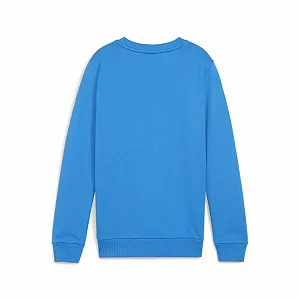 Джемпер PUMA Teamgoal Casuals для хлопчиків, з круглим вирізом, трикотажний synthetic.ua - Фото 1