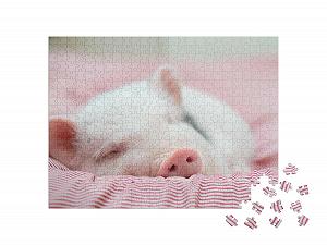 Пазл puzzleYOU Pig & Piglets Puzzle Collection 500 элементов Поросенок во время уютного сна synthetic.ua - Фото 1