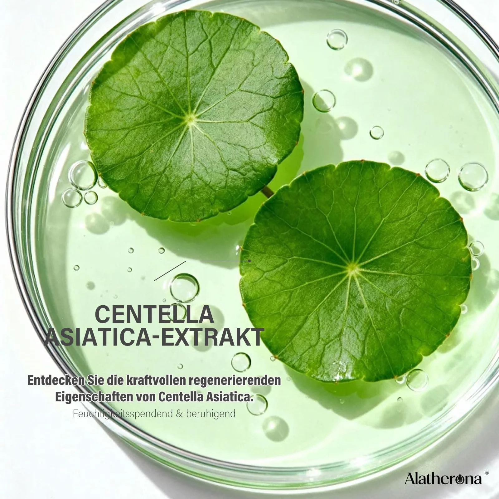 Крем для обличчя Centella зволожувальний із центелою азіатською, колагеном, гіалуроновою кислотою та ніацинамідом заспокійливий проти зморшок, фото №3 Крем для обличчя Centella зволожувальний із центелою азіатською, колагеном, гіалуроновою кислотою та ніацинамідом заспокійливий проти зморшок, фото №3