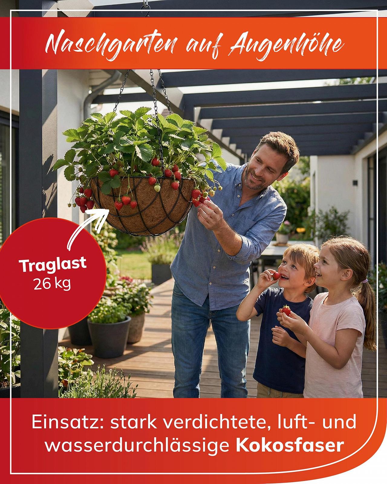 Підвісні кашпо bellissa 97735/97736 з кокосовою вкладкою Ø35 см Набір з 3 шт., фото №4 Підвісні кашпо bellissa 97735/97736 з кокосовою вкладкою Ø35 см Набір з 3 шт., фото №4