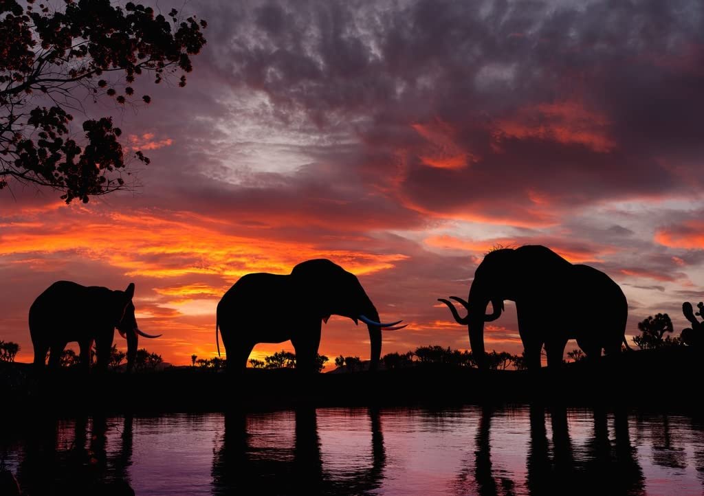 Пазл Lais Puzzle Elephants in Sunset on a River 1000 деталей, фото №3