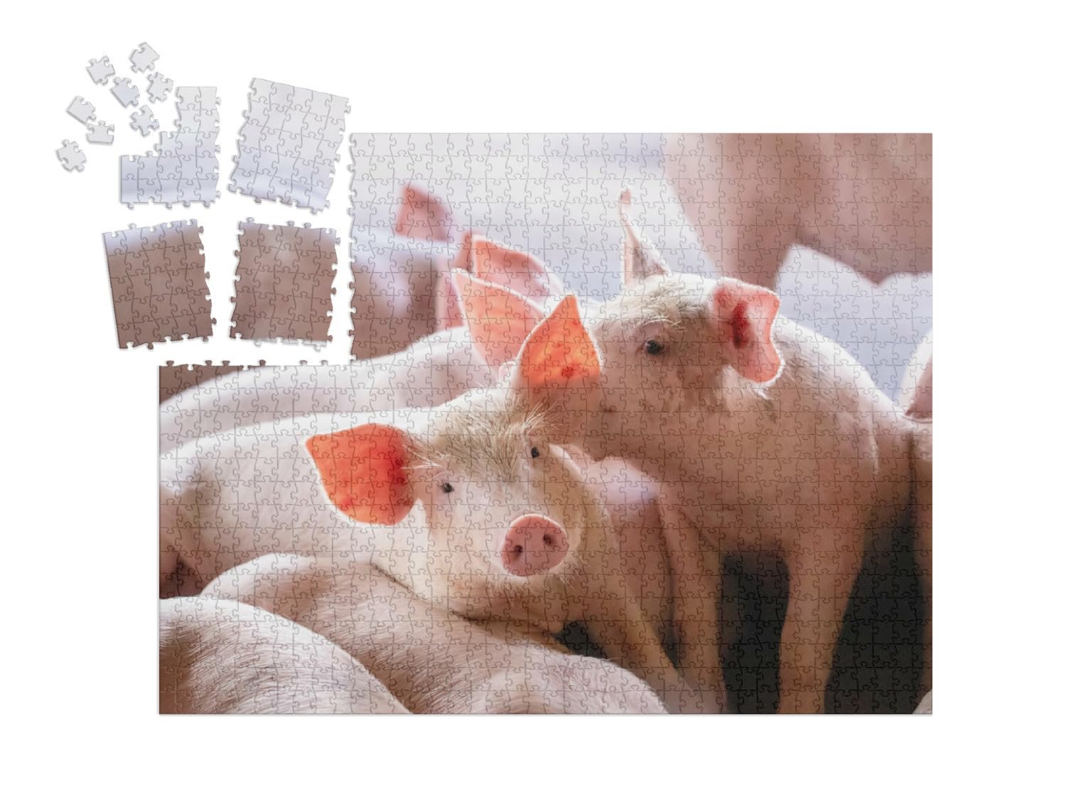 Пазл-адвент-календарь puzzleYOU Pig & Piglets Поросята на ферме 1000 деталей, фото №2