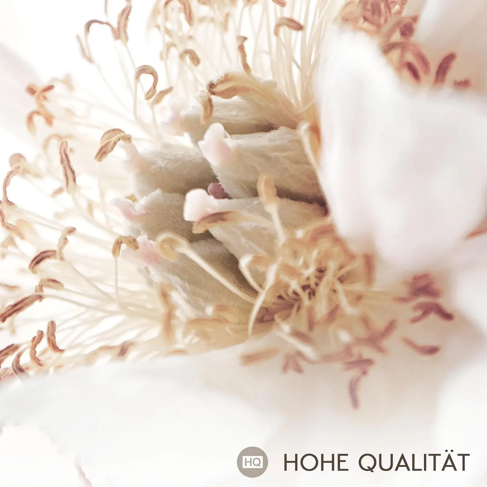 Картини на стіну Novart Flowers Vintage N033571a набір із 7 шт. сіро-рожеві, фото №6