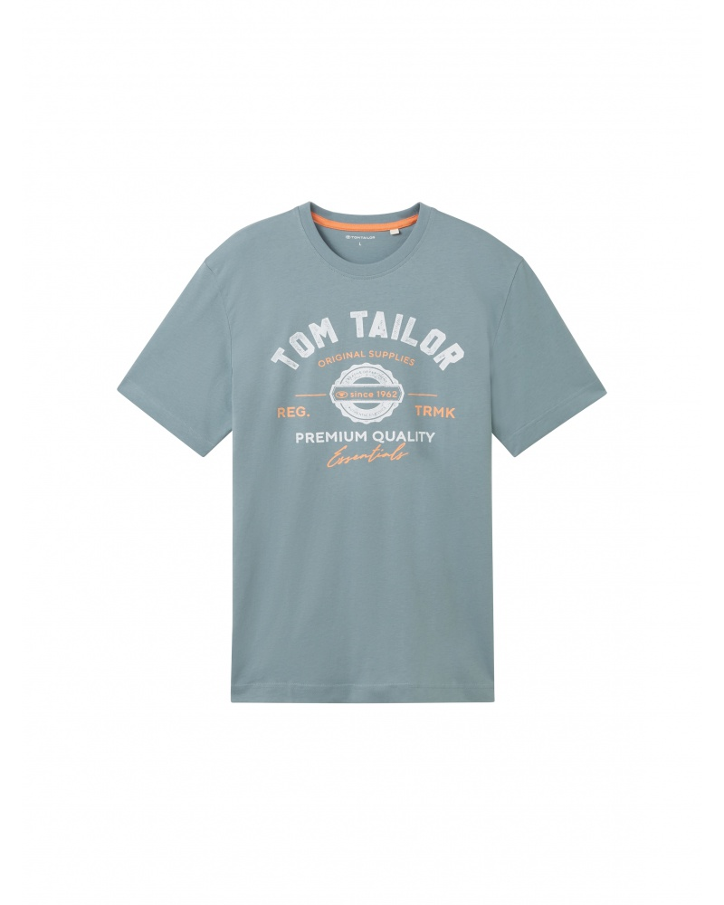 Футболка Tom Tailor LOGO TEE MEN'S 1037735-27475 Cерый XL, фото №5