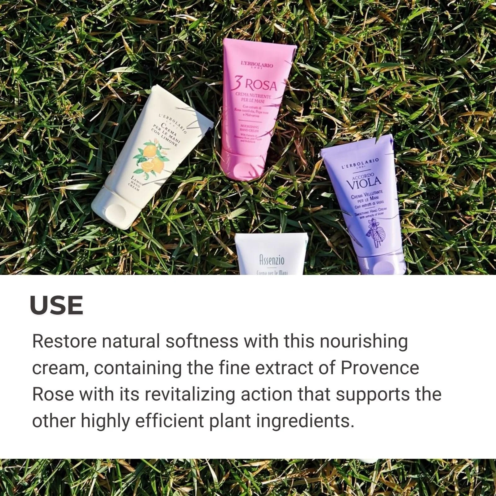 Крем для рук L'Erbolario Rose парфюмированный 75 мл, фото №6