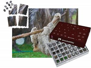 Пазл-адвент-календарь puzzleYOU Sloths, Exotic Animals & Trendy Animals Ленивец 1000 деталей - Фото 1