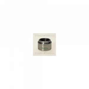 Поршень тормозного суппорта TRISCAN 8170 234001 - Фото 1