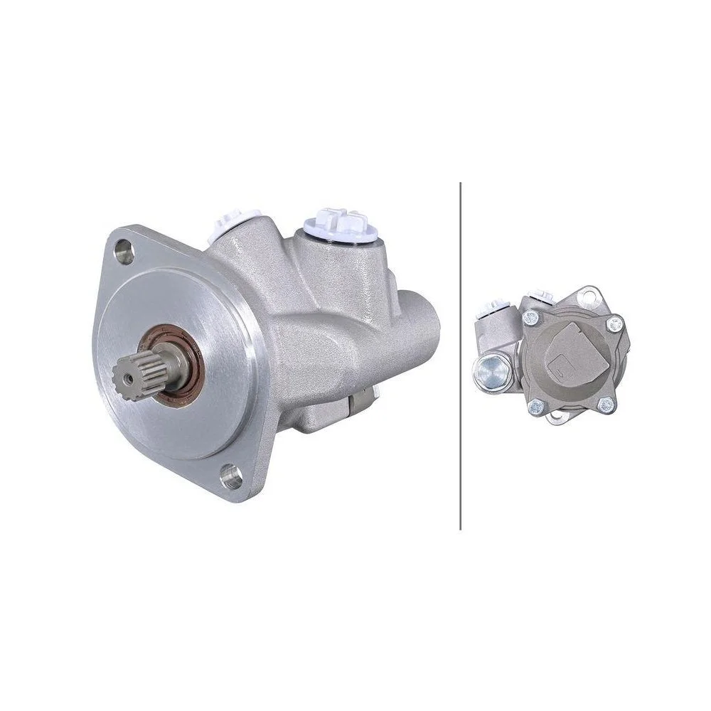 Гідравлічний насос рульового керування HELLA 8TL 359 004-011 для RENAULT TRUCKS, фото №1 Гідравлічний насос рульового керування HELLA 8TL 359 004-011 для RENAULT TRUCKS, фото №1