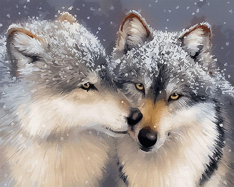 BS27710 Картина за номерами Ніжне почуття 40 х 50 см Без коробки, фото №1 BS27710 Картина за номерами Ніжне почуття 40 х 50 см Без коробки, фото №1