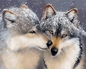 BS27710 Картина за номерами Ніжне почуття 40 х 50 см Без коробки - Фото 1